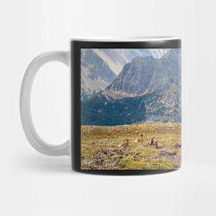 Bighorn Sheep in Rocky Mountains National Park Mug